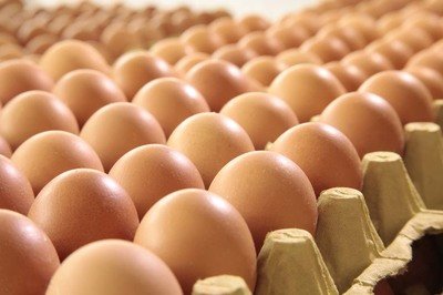 池州鸡蛋检测价格,鸡蛋检测机构,鸡蛋检测项目,鸡蛋常规检测